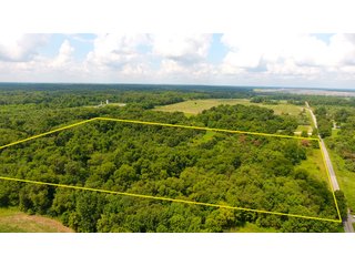TRACT 44 - ILLINOIS LAND AUCTION - 4,810+/- ACRES OFFERED IN 85 TRACTS IN FRANKLIN, WILLIAMSON, HAMILTON & SALINE COUNTIES, ILLINOIS